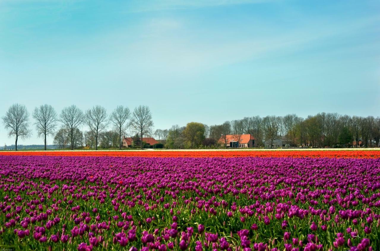 B&B De Strandhoeve คีทโฮร์น ภายนอก รูปภาพ